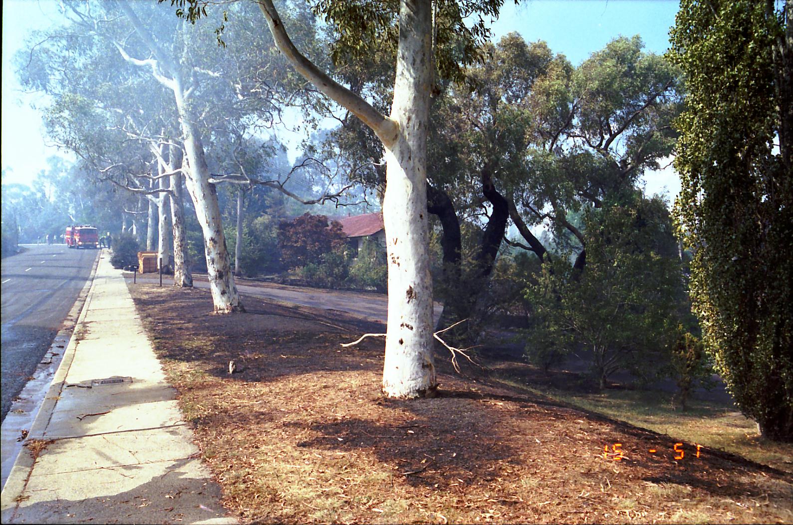 Year 1991 Site 02