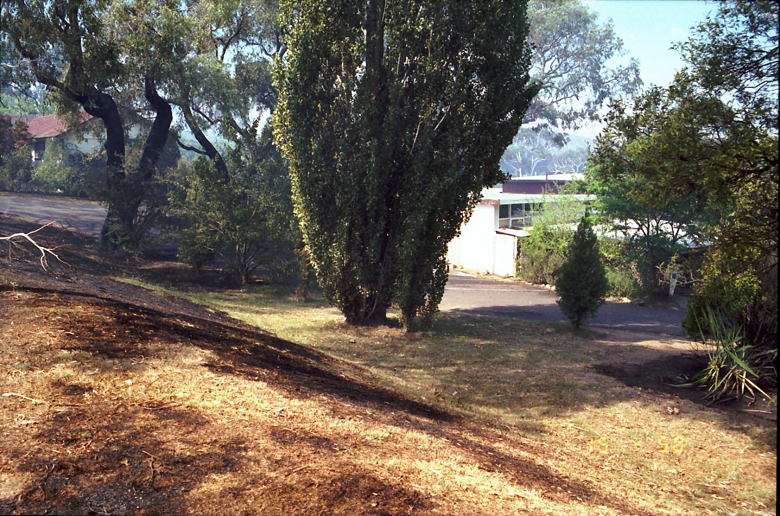 Year 1991 Site 03