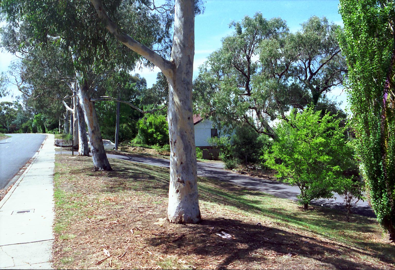 Year 1992 Site 02