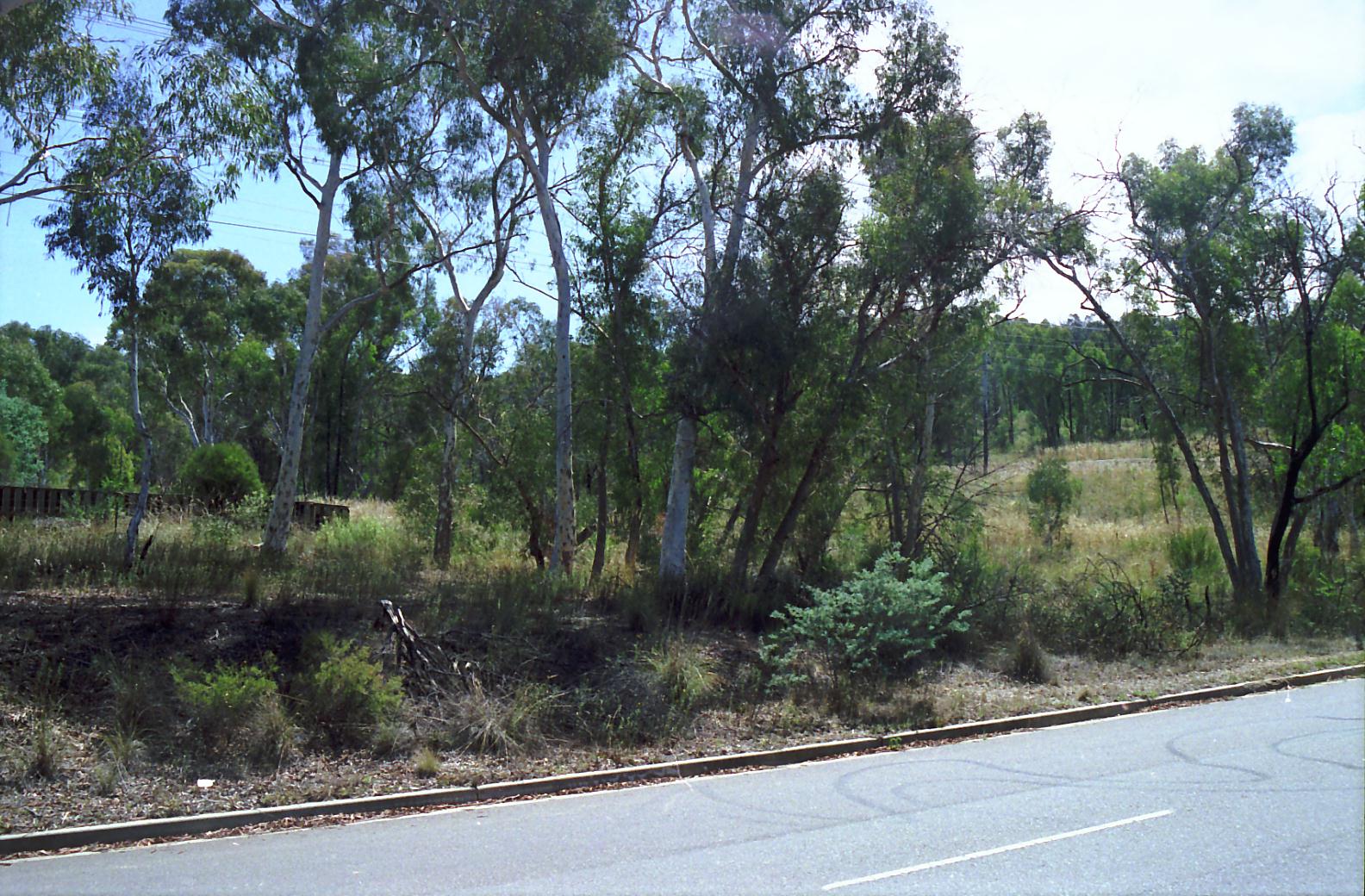 Year 1992 Site 09