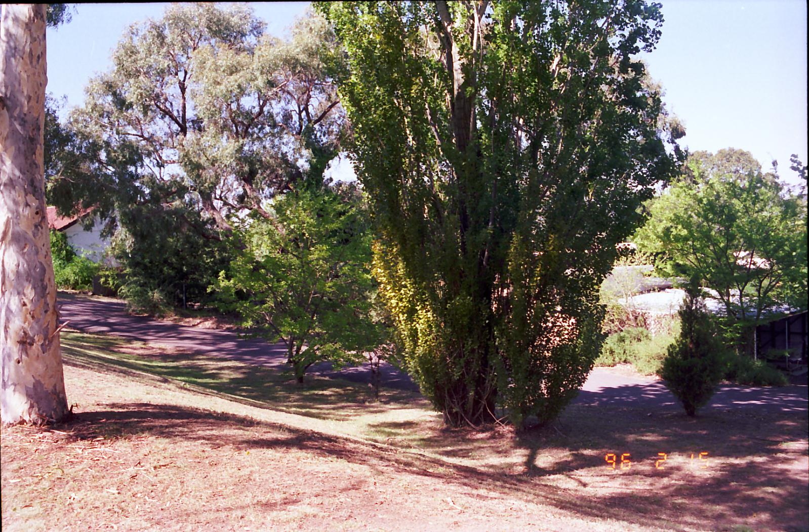 Year 1996 Site 03