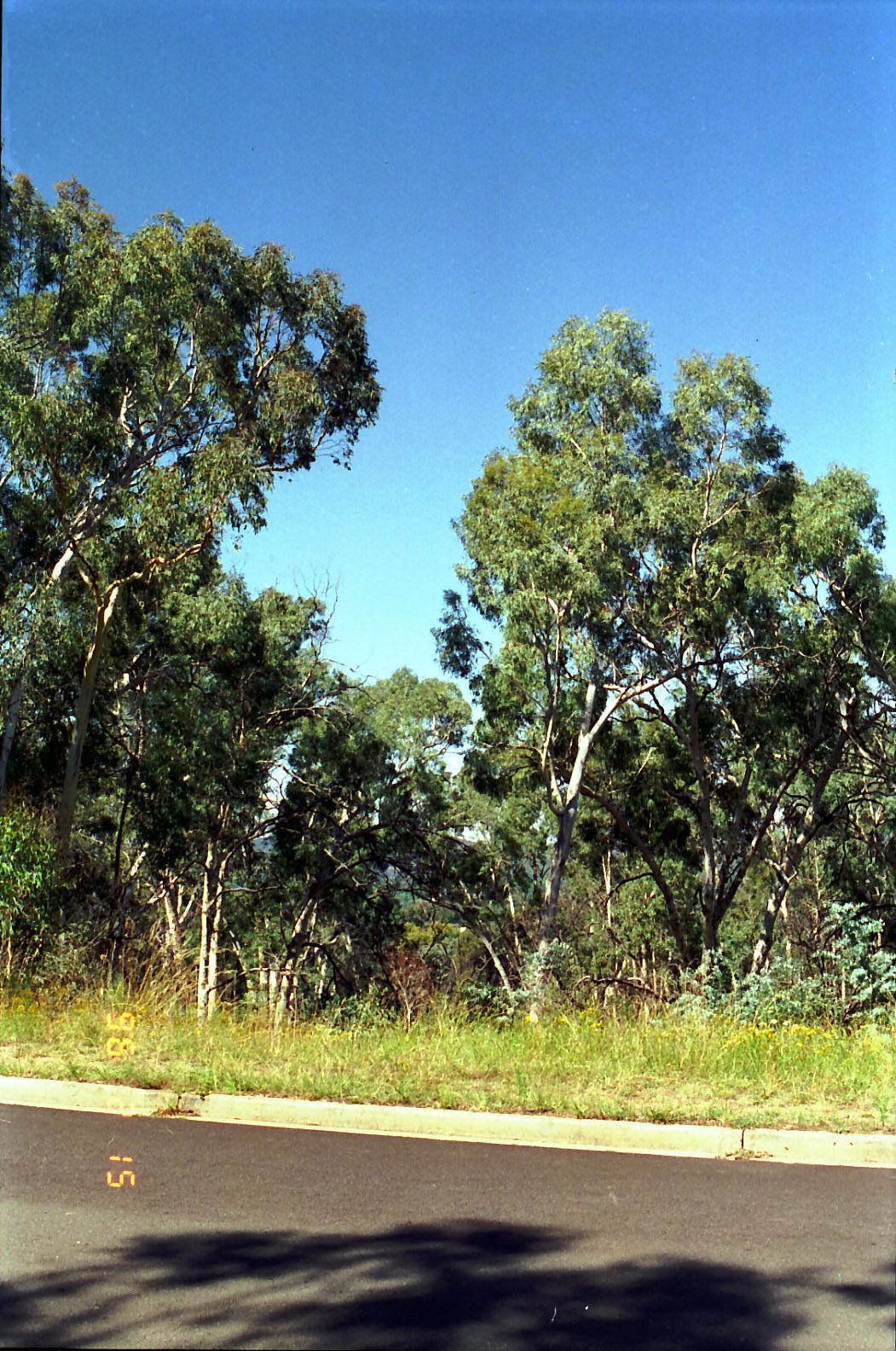 Year 1996 Site 22