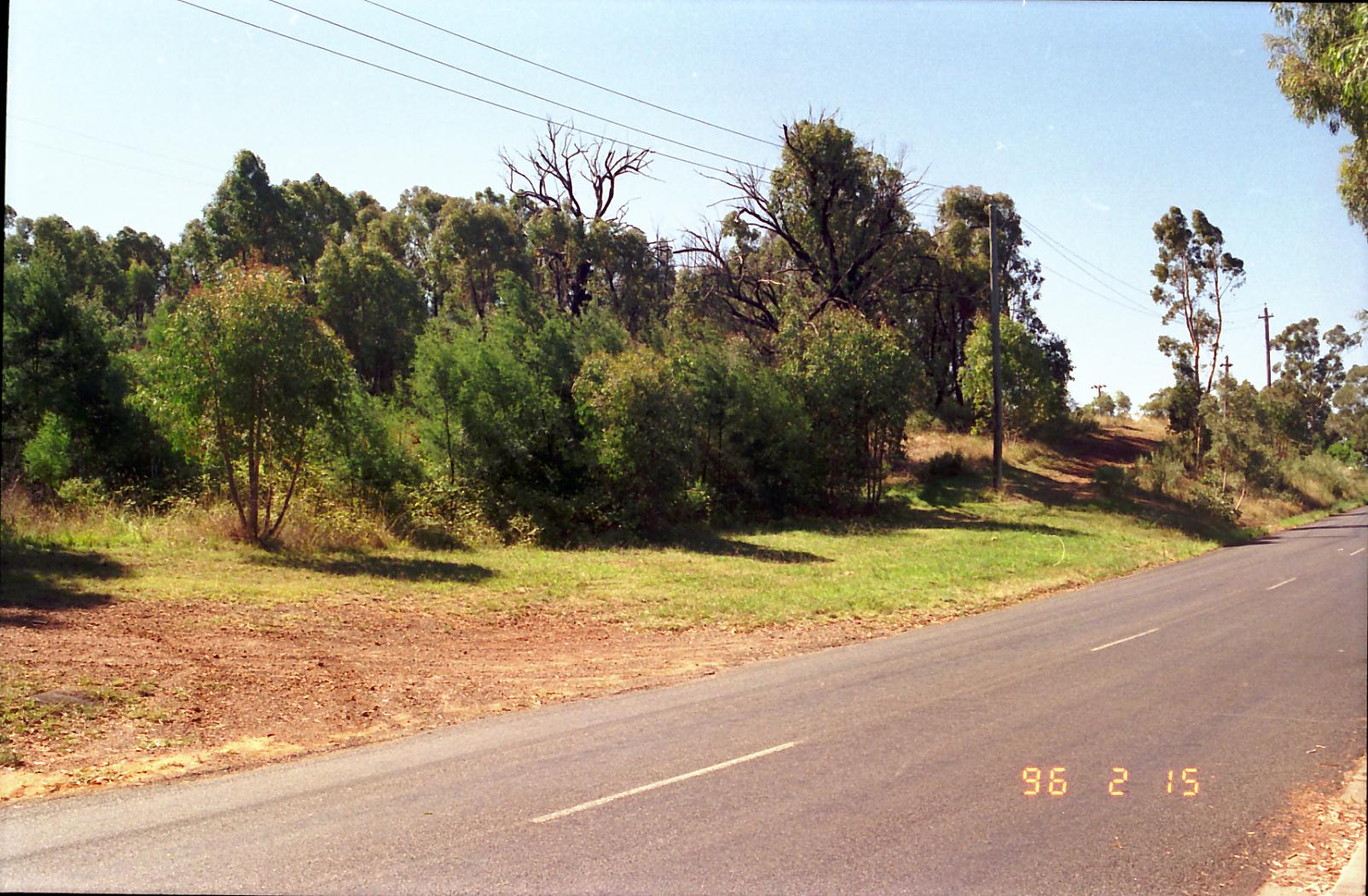 Year 1996 Site 25