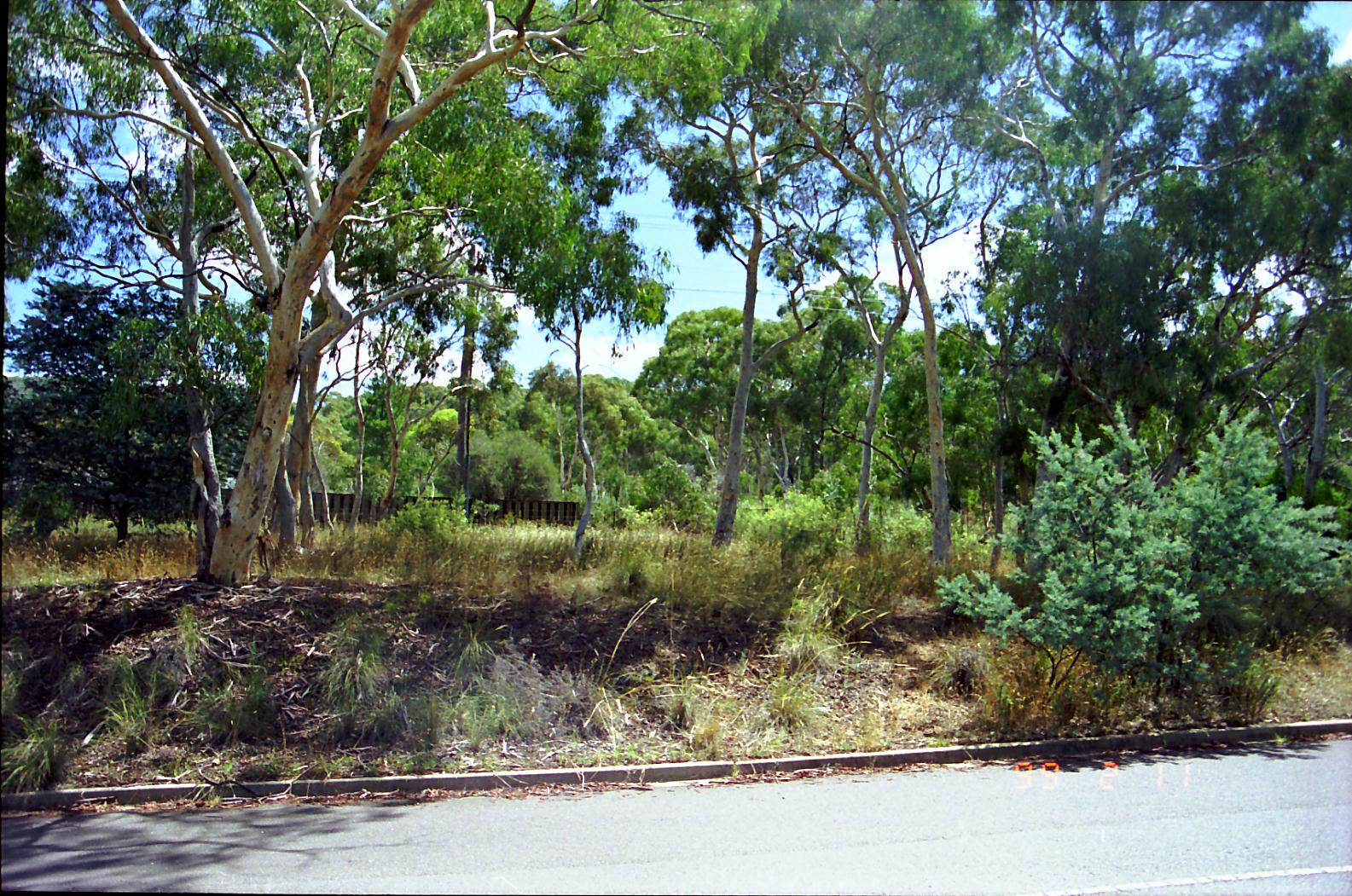 Year 1999 Site 08