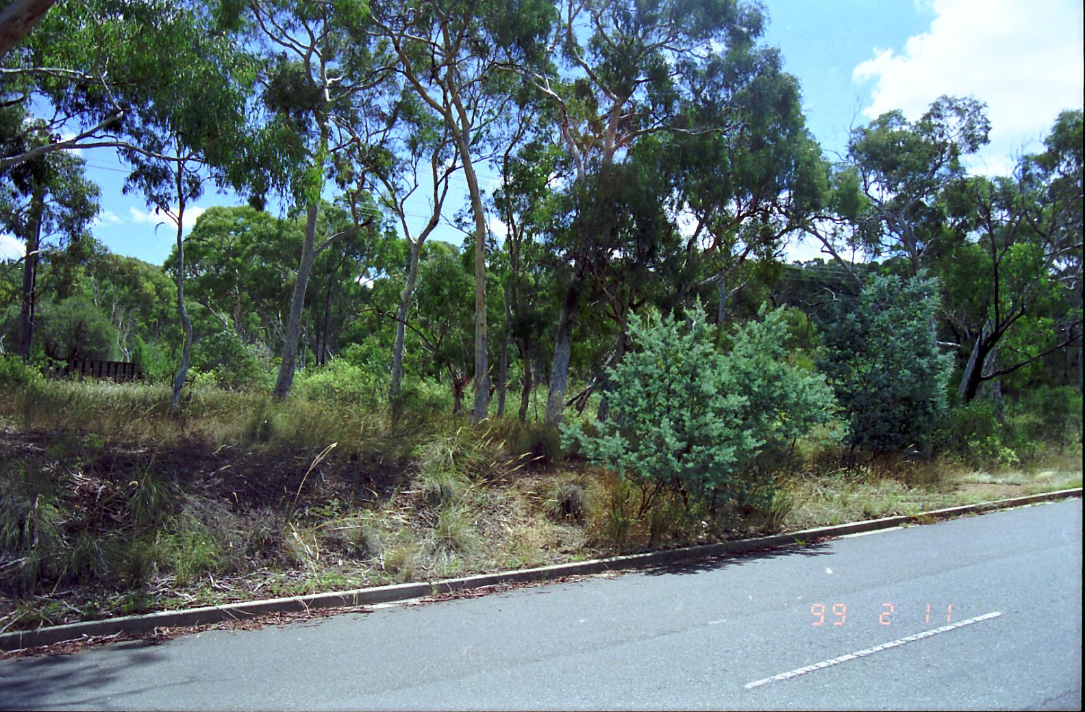Year 1999 Site 09