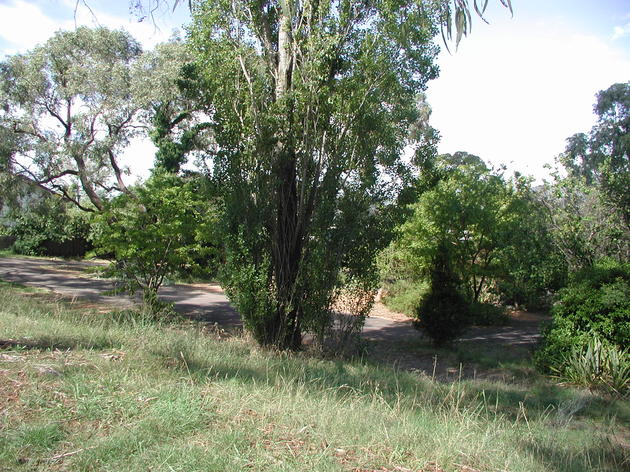 Year 2001 Site 05