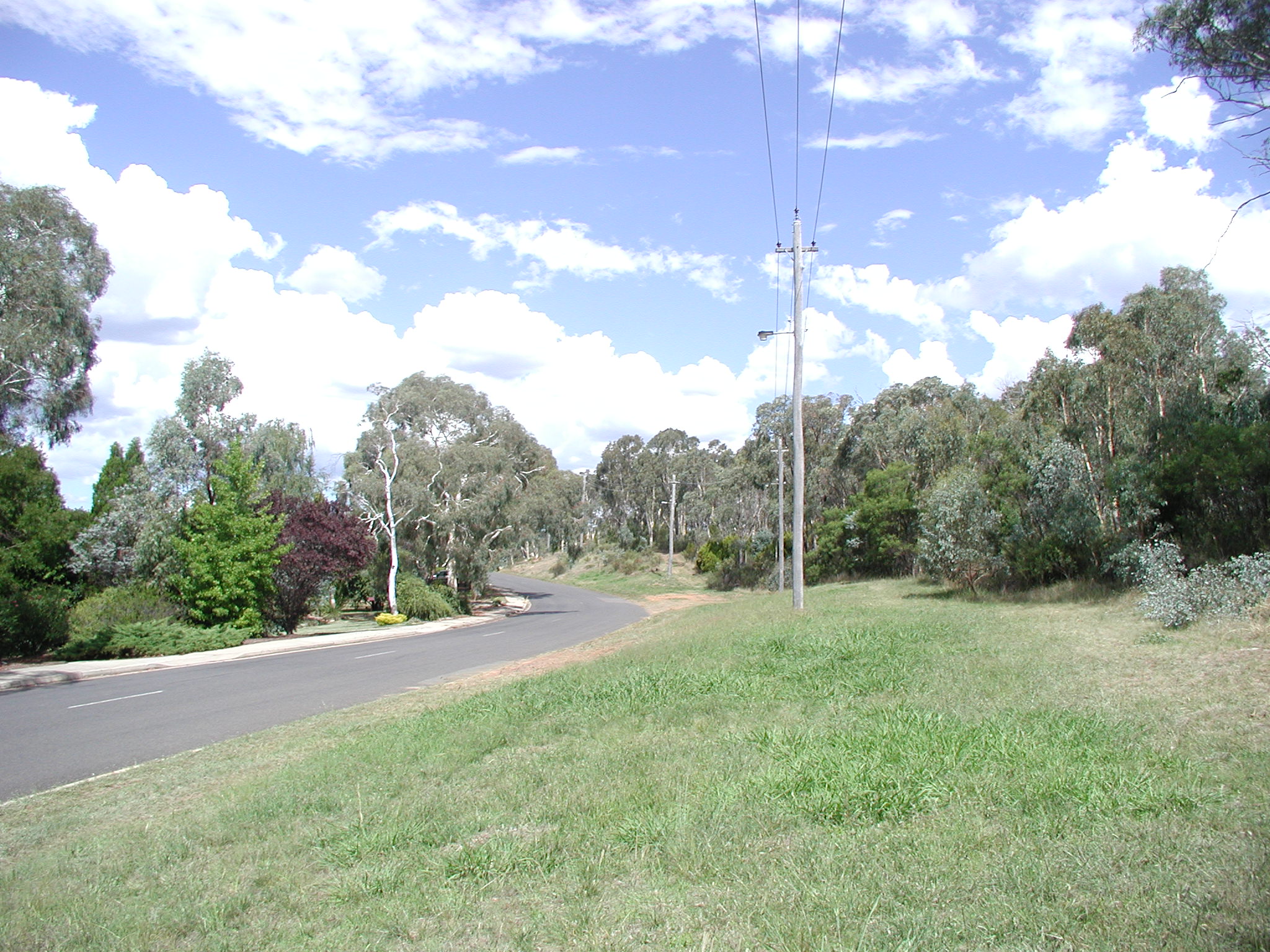 Year 2001 Site 29