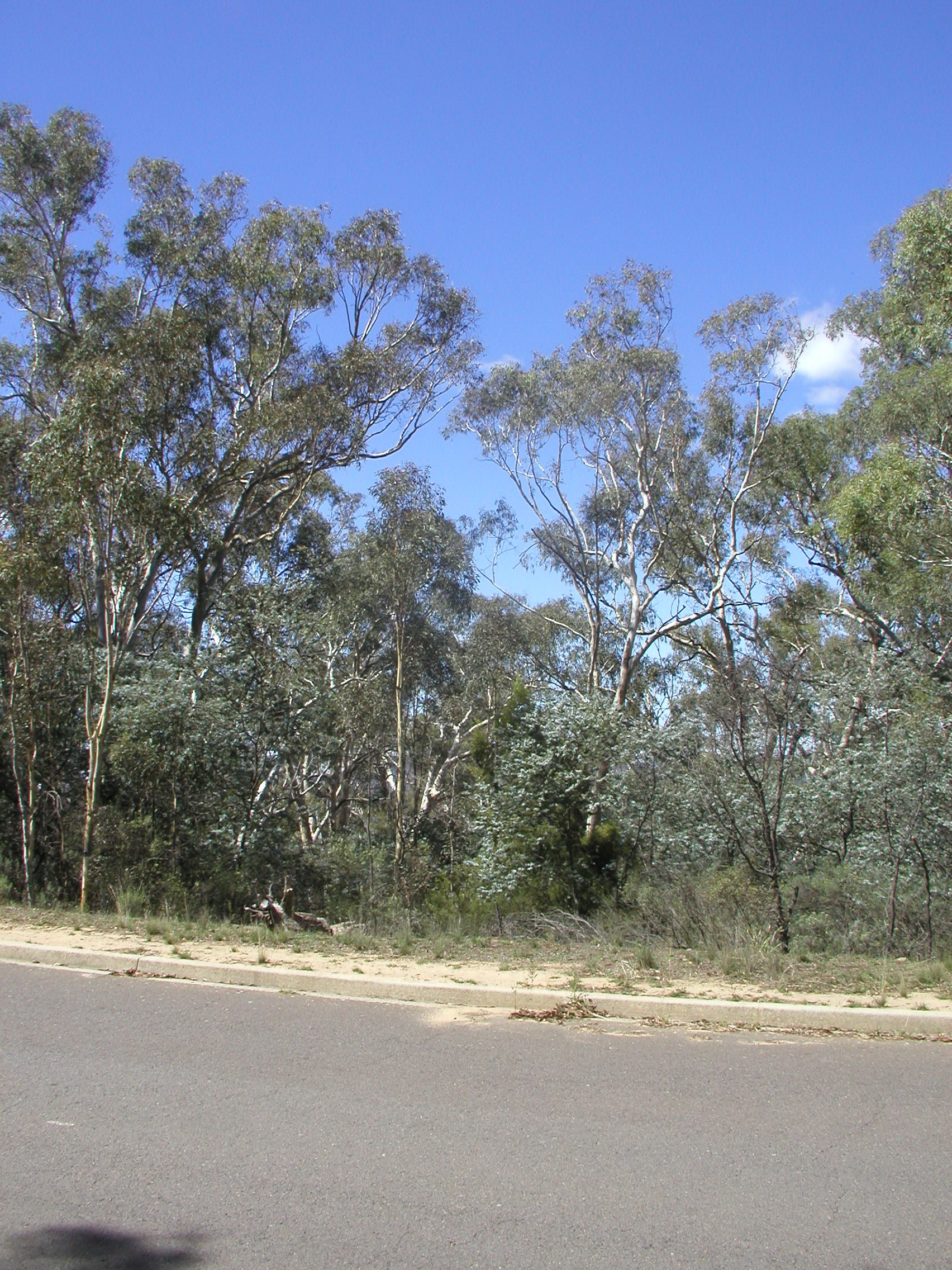 Year 2010 Site 22