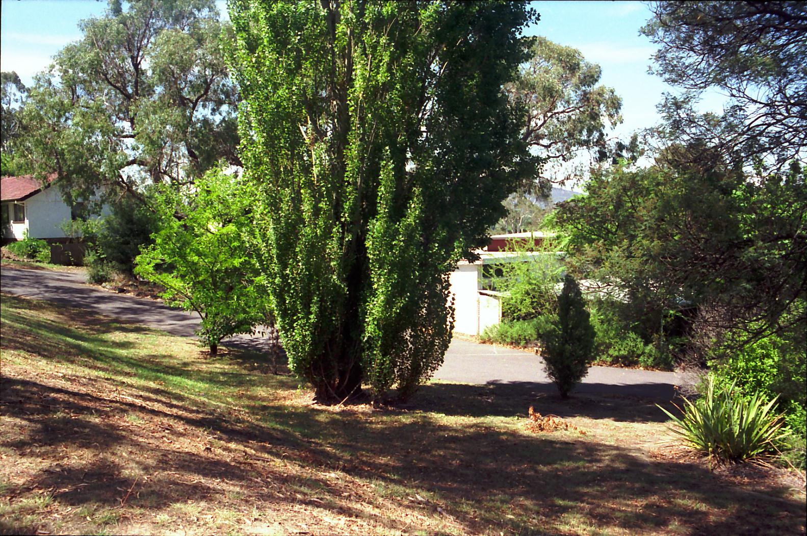 Year 1992 Site 03