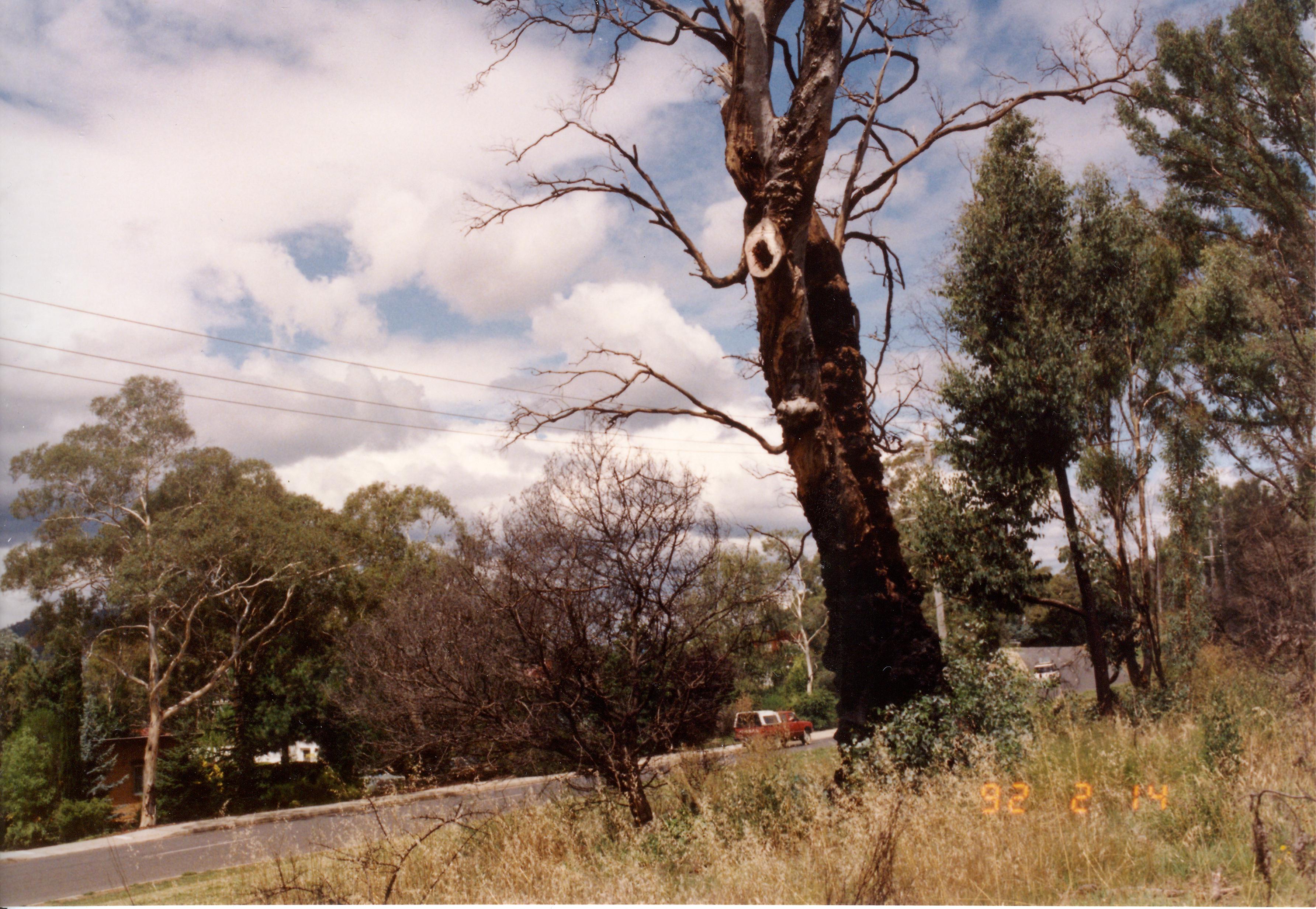 Year 1992 Site 30