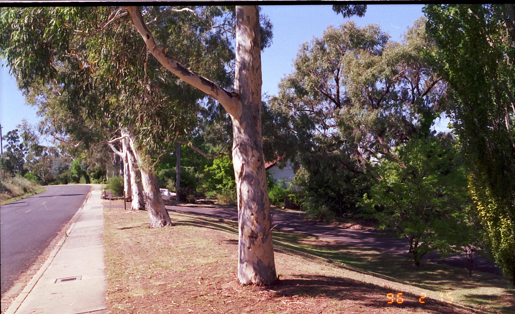 Year 1996 Site 02