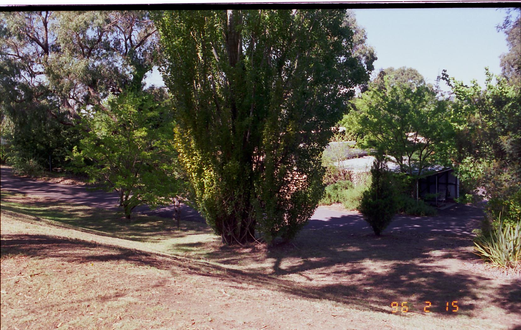 Year 1996 Site 05