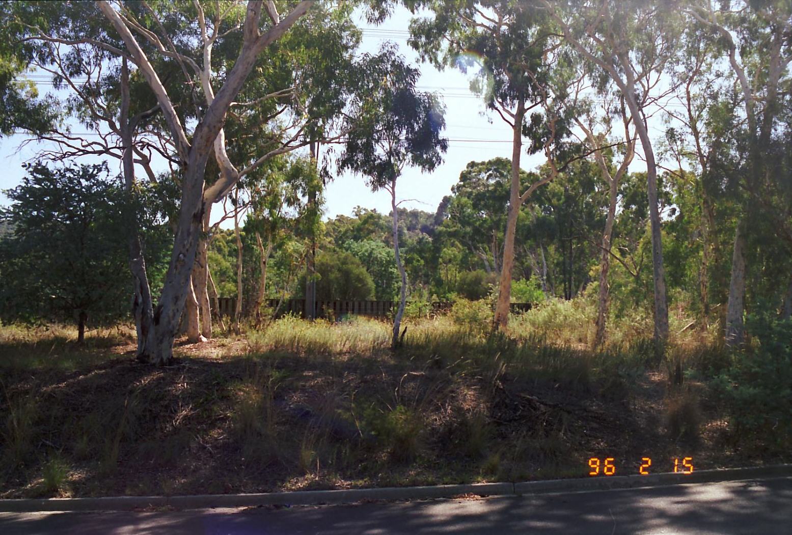 Year 1996 Site 08
