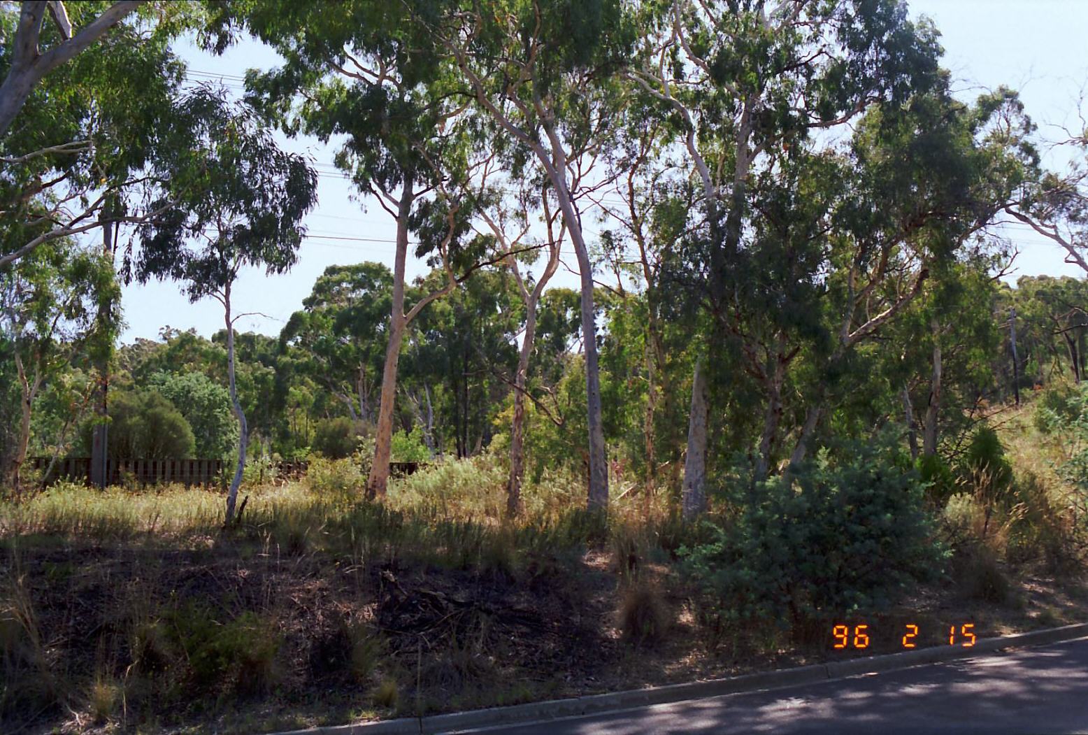 Year 1996 Site 09