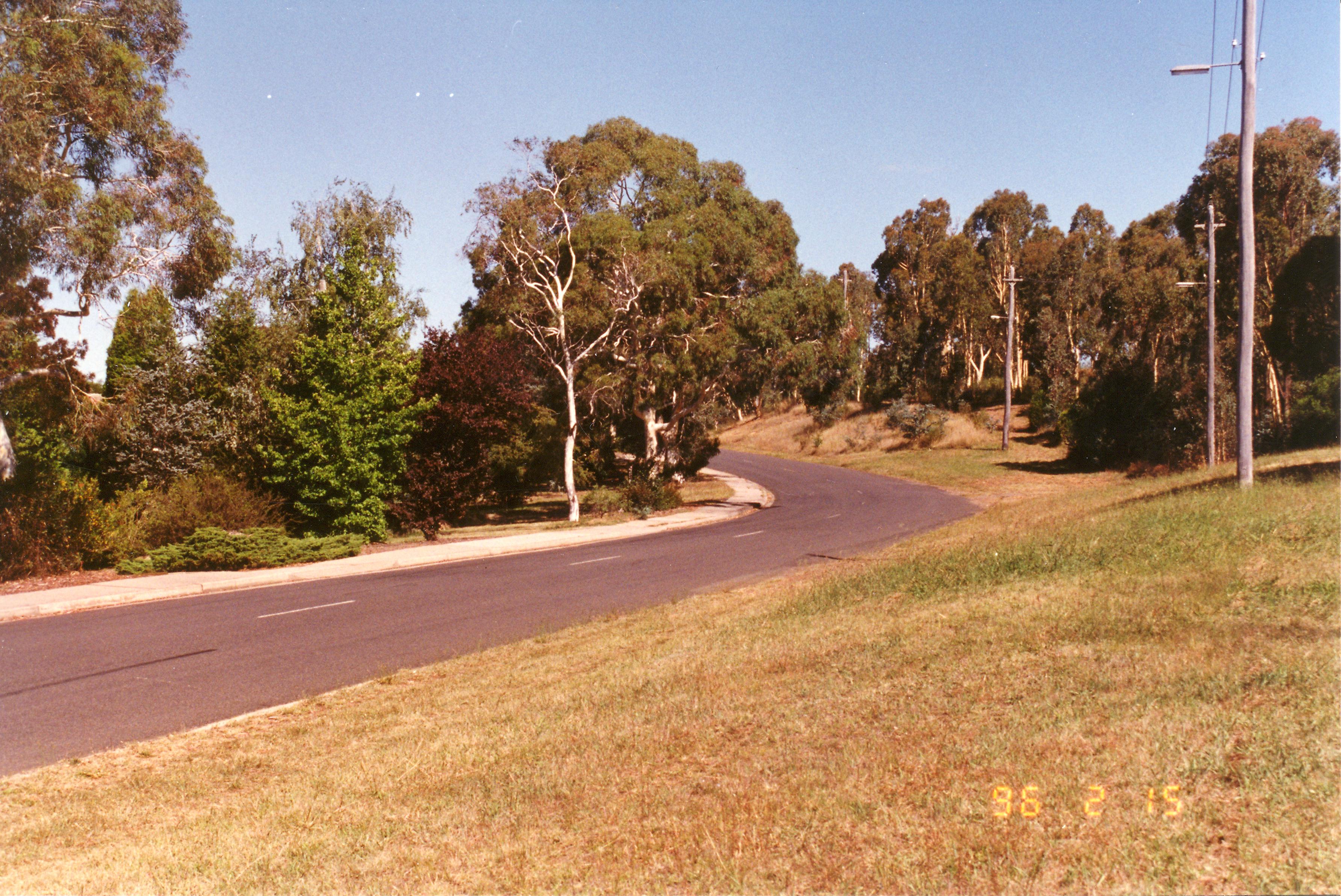 Year 1996 Site 29