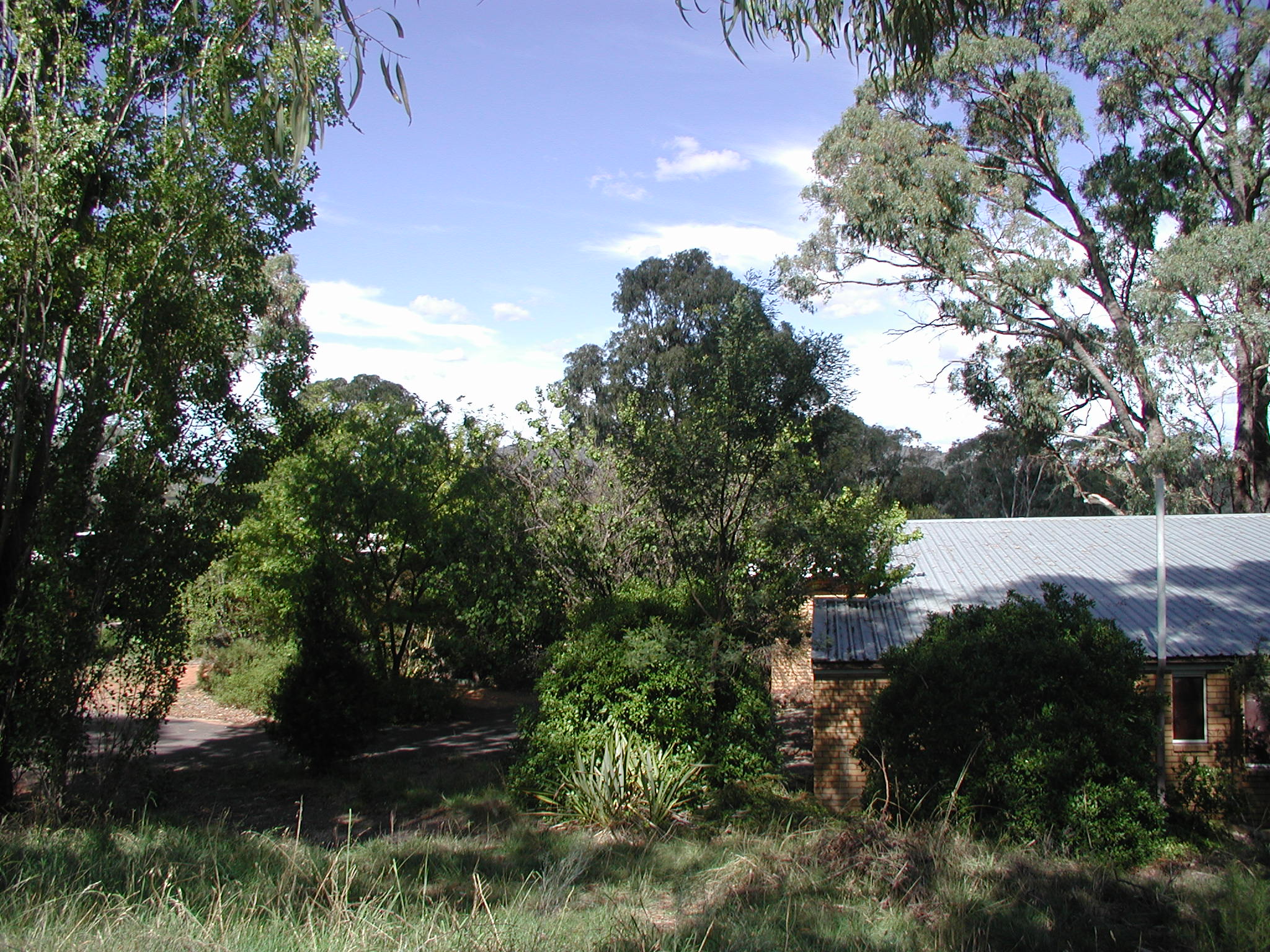 Year 2001 Site 04