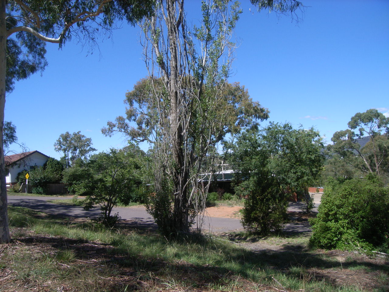 Year 2008 Site 03