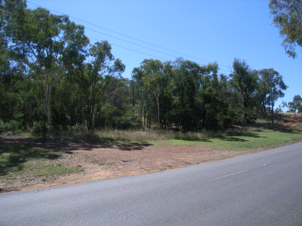 Year 2008 Site 25