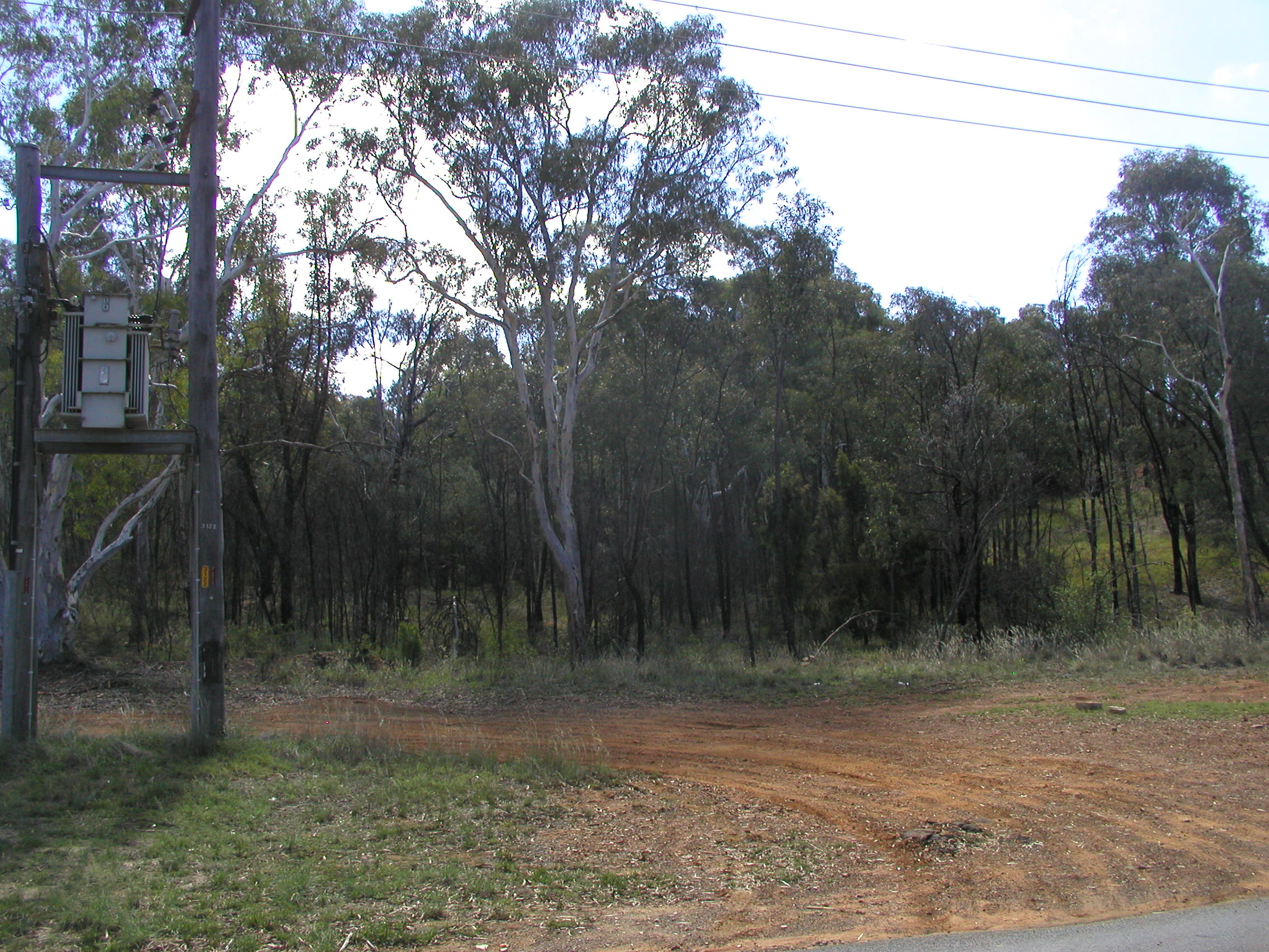 Year 2010 Site 26